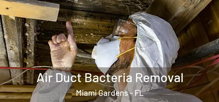 Air Duct Bacteria Removal Miami Gardens - FL
