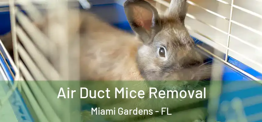 Air Duct Mice Removal Miami Gardens - FL