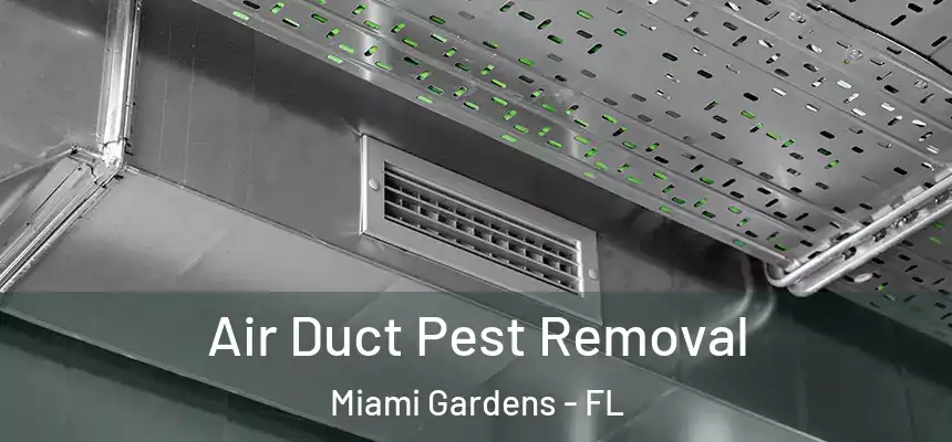 Air Duct Pest Removal Miami Gardens - FL