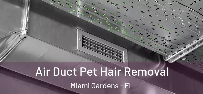 Air Duct Pet Hair Removal Miami Gardens - FL
