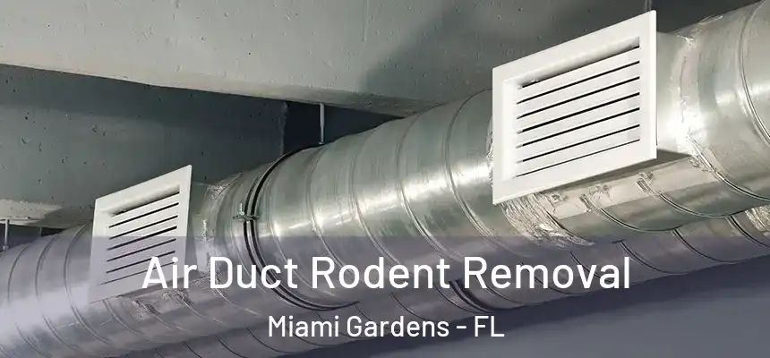 Air Duct Rodent Removal Miami Gardens - FL