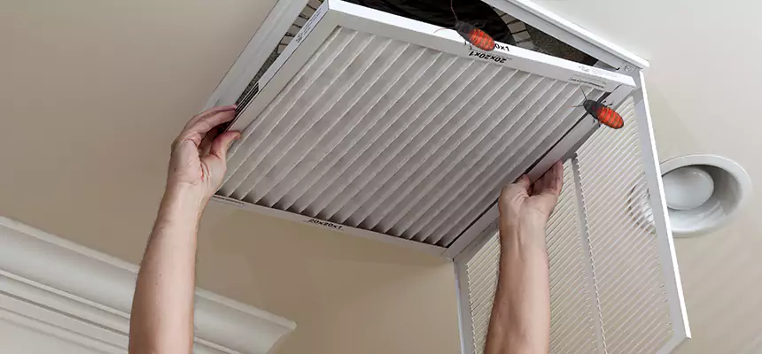 Preventive Cockroach-Proofing for Ducts in Miami Gardens