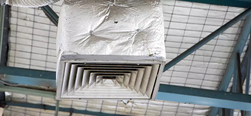 Our HVAC Mold Remediation Service Services in Miami Gardens, FL