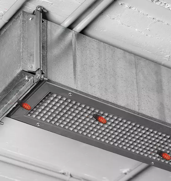 About Air Duct Cockroach Removal in Miami Gardens, FL