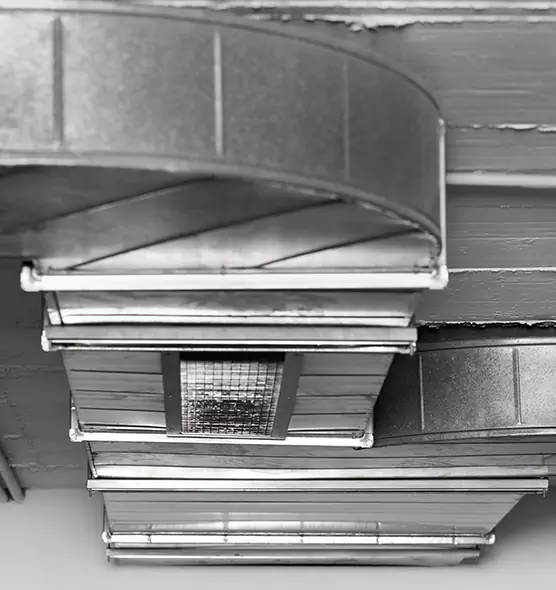 Professional Air Duct Pest Removal in Miami Gardens, FL