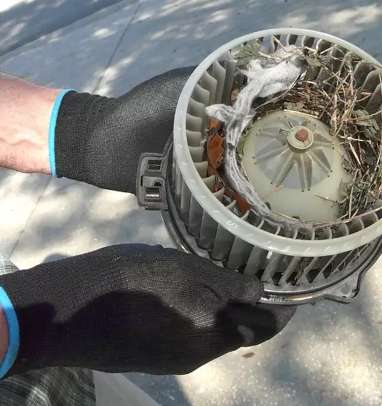 About Air Duct Rat Removal in Miami Gardens, FL