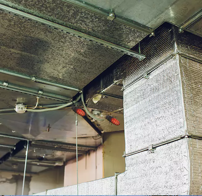 Why Homeowners & Businesses Trust Us in Miami Gardens, FL?