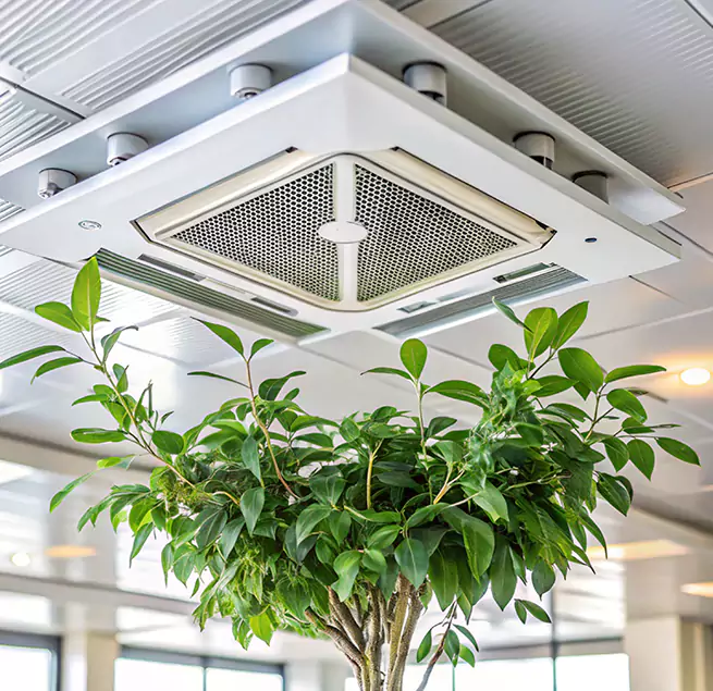 Why Homeowners & Businesses Trust Us in Miami Gardens, FL?